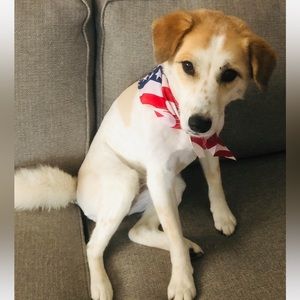 Meet your Posher, Gloria